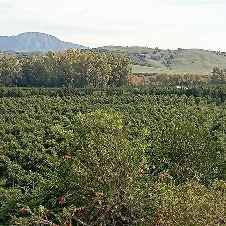 Los Dos Cedros San Pablo 외부 사진
